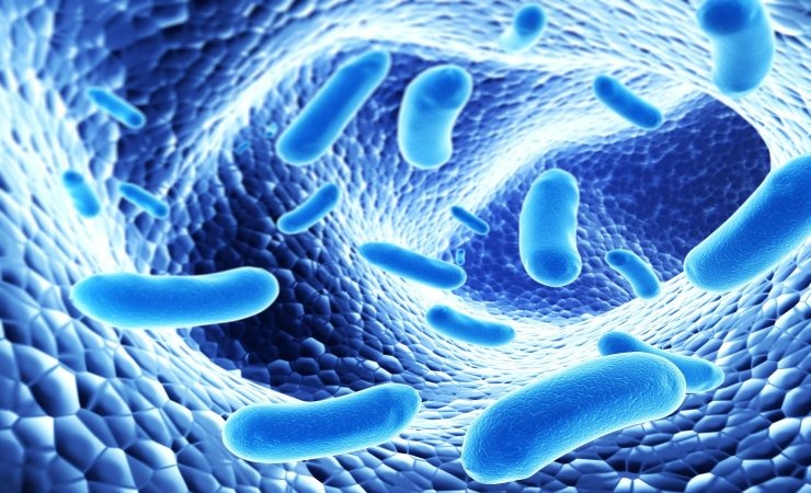 Συναγερμός με τα πολυανθεκτικά μικρόβια - «Χάνουμε ασθενείς από...»